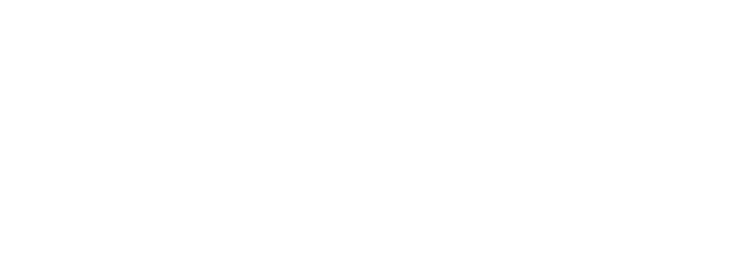 VISA Austria